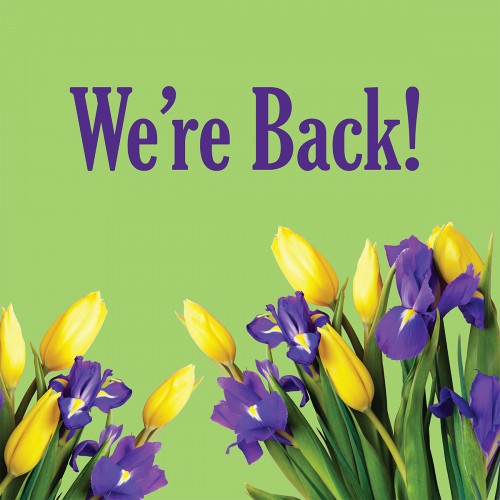 Welcome Back!